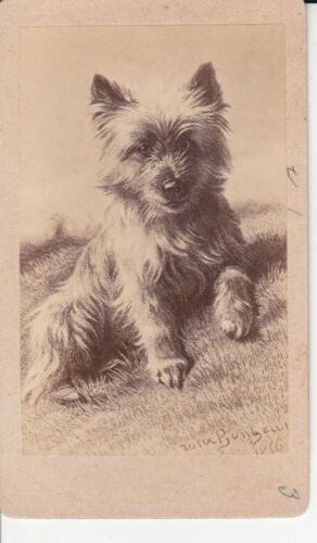 EXTREMELY RARE ANTIQUE 1856 ORIGINAL GERMANY DOG CDV PHOTO NO.1 - Picture 1 of 2