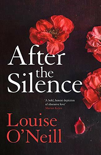 After the Silence: The An Post Irish Crime Novel of the Year (Planet Omar) By L