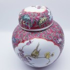 Foto 9 di 11