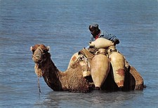 TUNISIA DJERBA CE N EST PAS LA MER A DRINK
