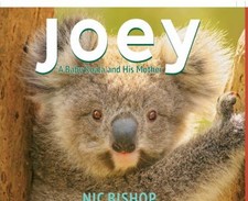Joey: A Baby Koala and His Mother Hardcover Nic Bishop