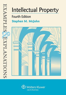 Intellectual Property (Examples & Explanations)