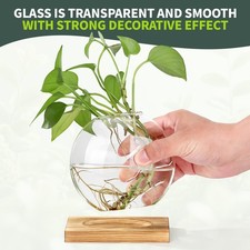 Flat Round Vases with Wood Stand Glass Moon Vase Oval Bowl Plant Container