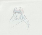 The Twelve Kingdoms Juuni Kokki Genga Douga Original Sketches Pierrot - Youko — photo 4