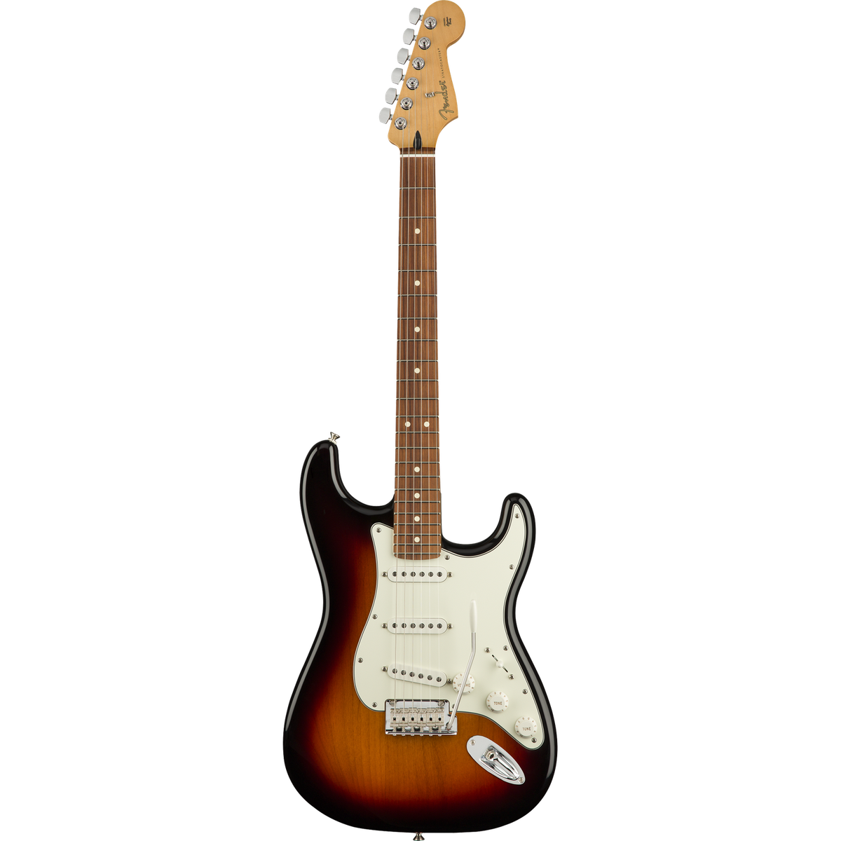 Fender Player Stratocaster - Pau Ferro Fingerboard - 3 Color
