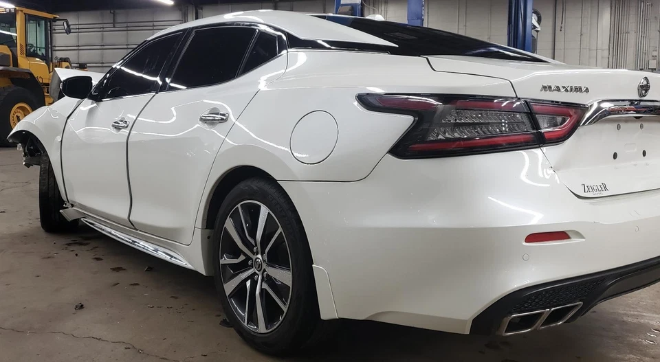 16 17 18 19 20 21 22 23 MAXIMA Left Rear Coil Spring, SV - Image 4 of 4