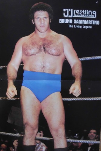 WWF PRIME TIME WRESTLING 8-26-85 PRO WRESTLING DVD (W-2159)