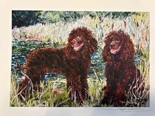Irish Water Spaniel 8 x 10 Print Signed By Susan Harper