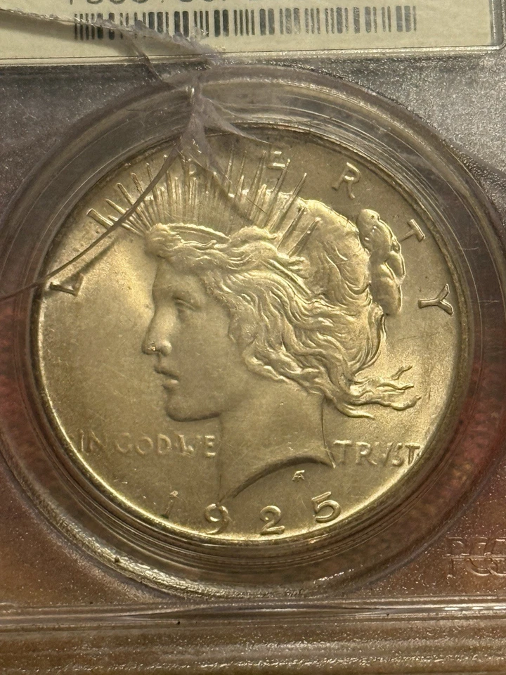 1925 Peace Dollar PCGS MS65 Brilliant Gem Luster Philadelphia Mint - Image 2 of 4