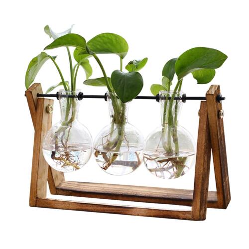 Plant Terrarium with Wooden Stand, Air Planter Bulb Glass Vase Metal Swivel H...