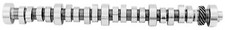Ford Racing Small Block V8 5.0l Drag Race Roller Camshaft Ford Racing Small Block V8 5.0l Drag Race Roller Camshaft