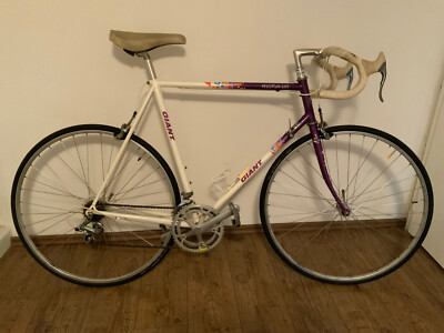 Rennrad Giant Peloton lite Vintage, RH 58  ca. 30 Jahre alt, sehr guter Zustand