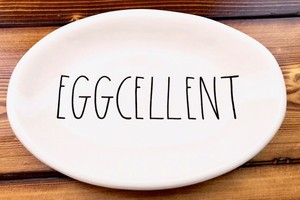 Rae-Dunn-Magenta-Oval-Snack-Side-Plate-Tray-Platter-Eggcellent