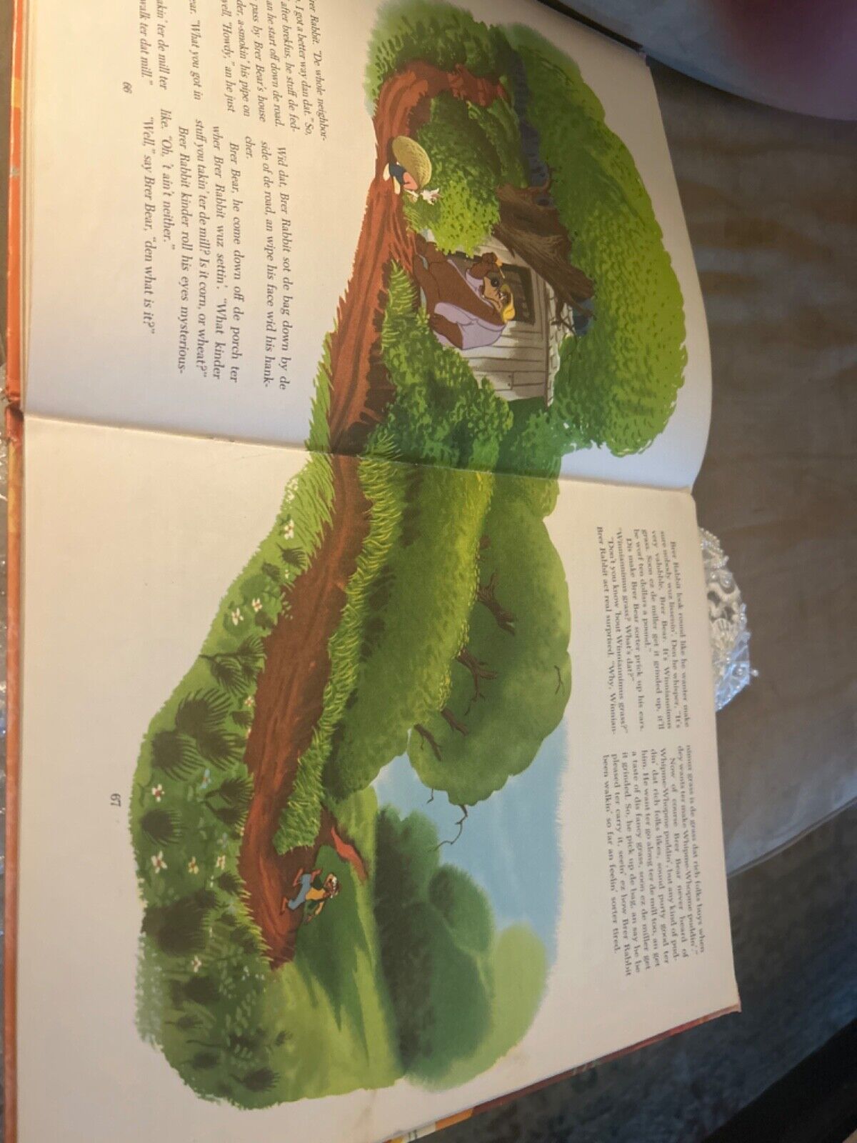 Picture 6 of 17