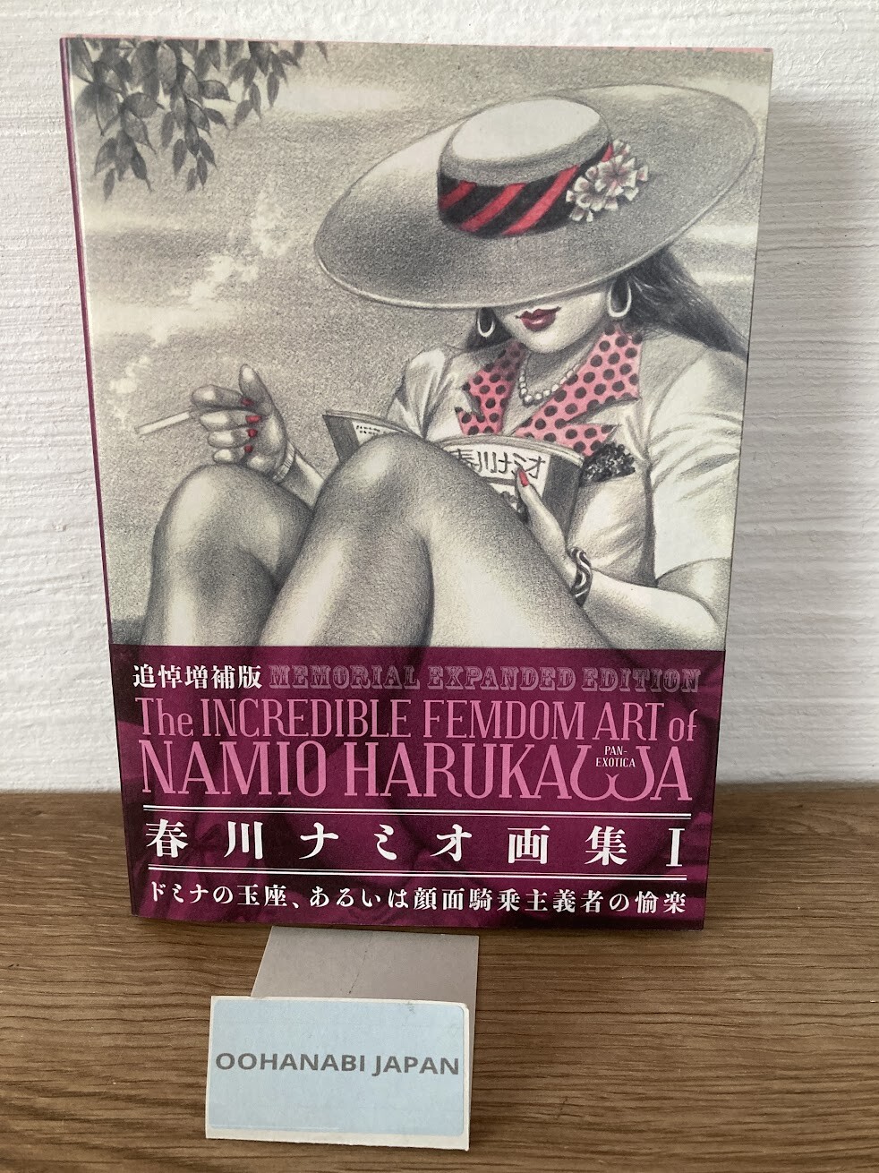 検 本・雑誌・漫画 春川ナミオ 画集1&2 namio harukawa artbook