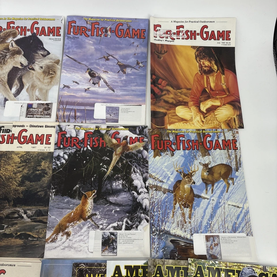 Lote De 22 Revistas De Caza Y Pesca De Colección: Juego De Peces De Piel, American Trapper, Años 90 Foto 3 de 4