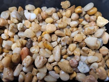 Pea size Natural Aquarium Gravel Substrate 9 Lbs Bags FREE SHIPPING