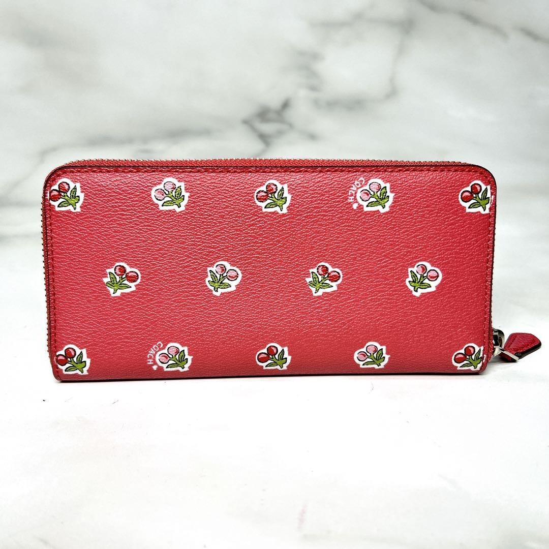 Coach Slim Accordion Zip Clutch Long Wallet Cherry Print