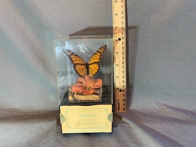 Monarch Butterfly Music Box Display, Real Specimen, Lucite Case, Plays Edelweiss