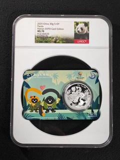 2025 China S10Y Panda Hainan EXPO NGC MS 70 Silver Coin UNC