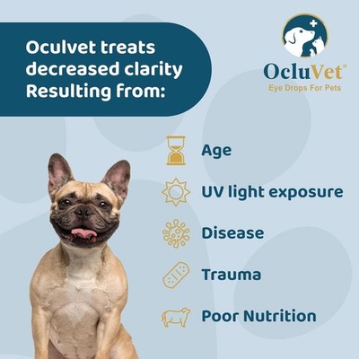 l carnitine eye drops OcluVet Eye Drops for Pets, 16 ml