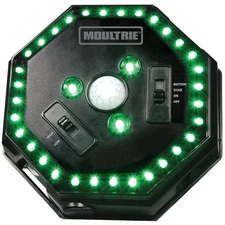 Multi-Mode Feeder Hog Light with 35 Bright LEDs - Perfect for Night Adventures