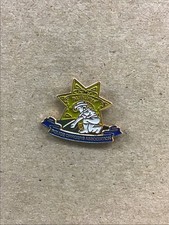 Auburn, CA Police Officer?s Association Lapel Pin New 