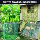 Bild 5 von 17