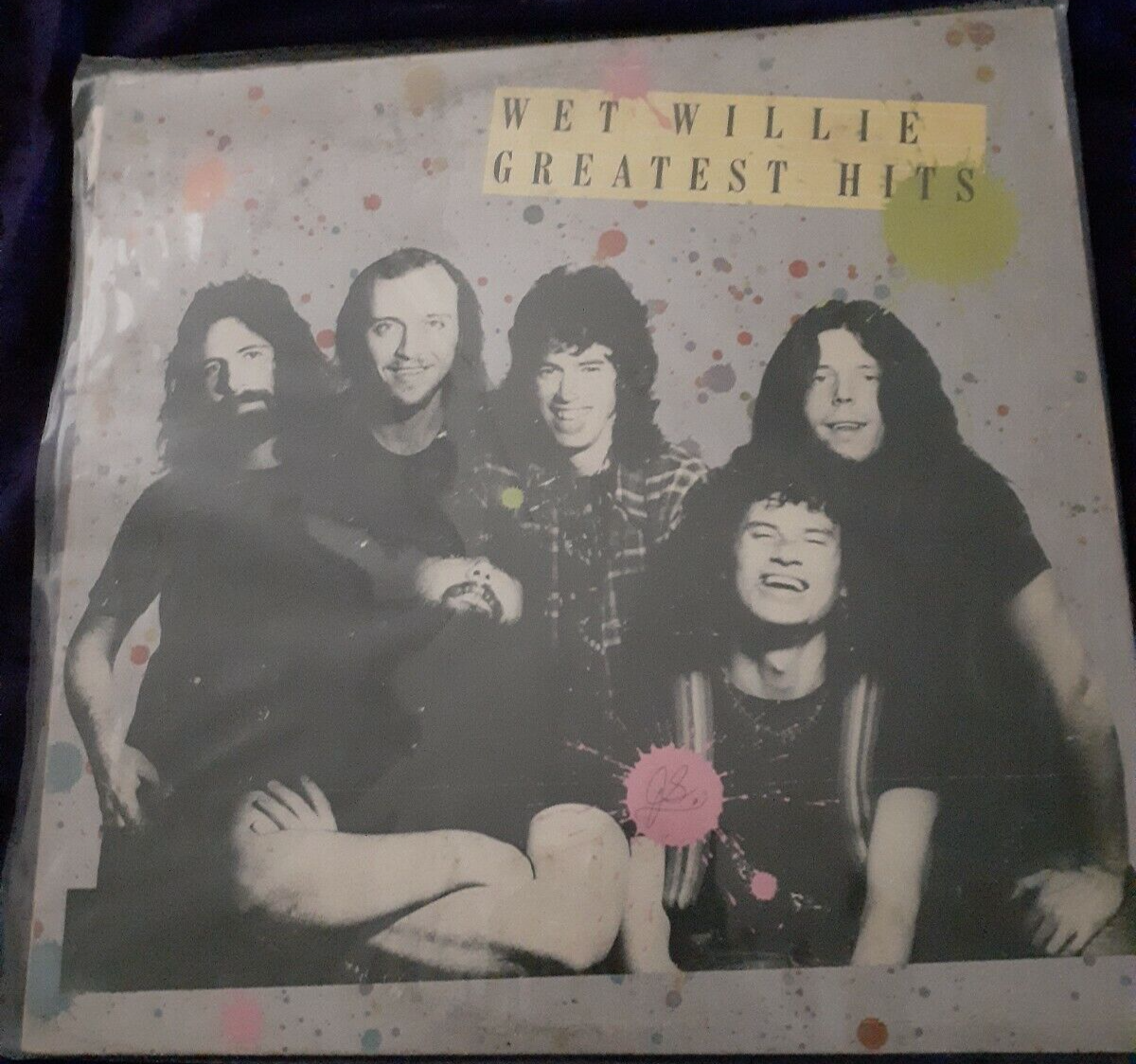 Wet Willie Greatest Hits vinyl record single album southern rock