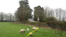 Photo 6x4 Bridge over the railway, Bedstone Ewes and lambs beside the Cen c2012