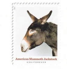 STAMP US SCOTT 5587 "Heritage Breeds- Mammoth Jackstock Donkey" FOREVER MNH 2021