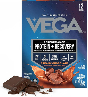 Protein + Recovery, Chocolate   30G n Protein, Dairy & Gluten Free, Probiotics, 