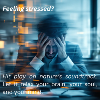 Relaxing Meditation Yoga Sleeping Soothing Nature Rain Water Ocean Sound Music