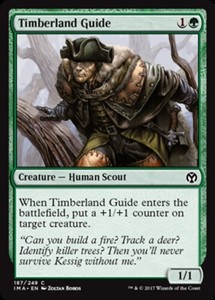 Timberland Guide x4 - Iconic Masters - NM-Mint, English - Iconic Masters