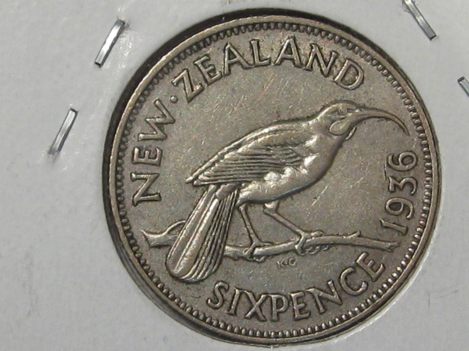 Picture 5 of 6