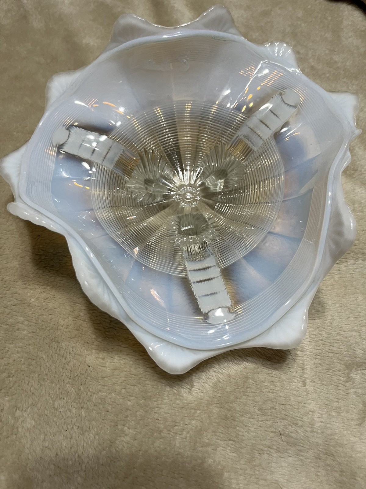 Picture 2 of 4