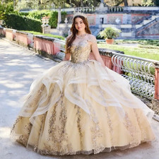 Champagne Quinceanera Dresses Ball Gown Lace Applique Beading Corset Sweet 16