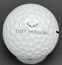 Deer Hollow Brothers Healing Dual Logo Golf Ball (1) Vice Drive Pre-Owned