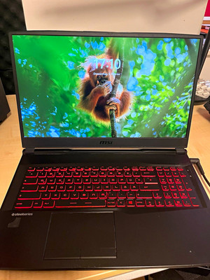 MSI Gaming Notebook/Laptop schwarz mit roter Tastaturbeleuchtung