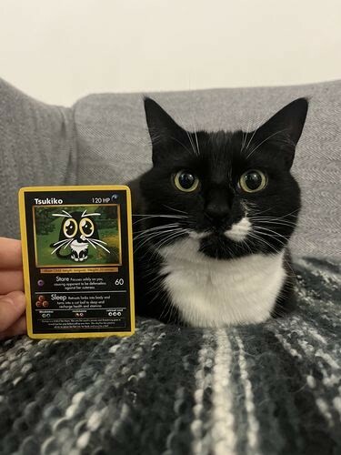 Transform your pet into a custom physical Pokémon cards. Best Gift-memories! - Picture 4 of 7