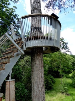 Foto 6x4 Das Krähennest, Stihl Baumwipfelpfad Westonbirt Zugang von a c2017