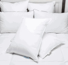 Choice Hotel Combo Pack One Soft/One Firm Jumbo Pillow Set