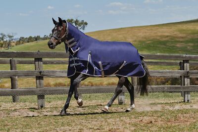 Weatherbeeta ComFiTec Essential Combo Neck Turnout Lite Plus