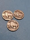 1913 Type 1 P D & S Buffalo Nickels (Dateless) - Free Shipping- A511