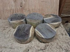 Black Walnut Wood Turning Bowl Blanks 5ea
