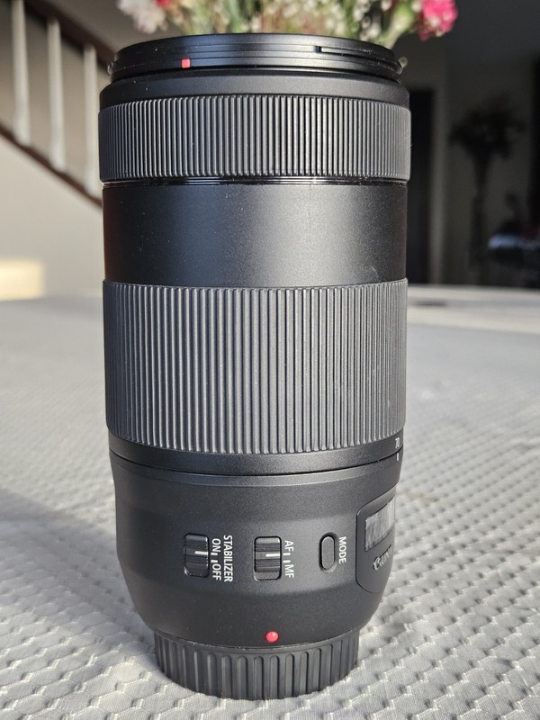 Canon EF 75-300mm f/4-5.6 IS USM Lens