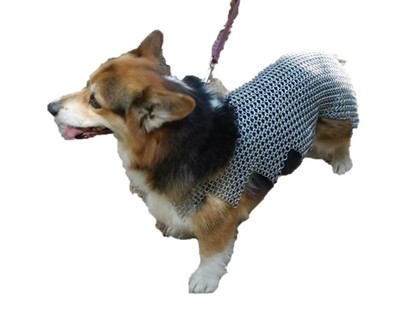 chainmail dog collar