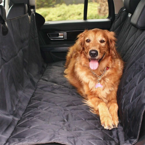 Hundedecken aus Polyester