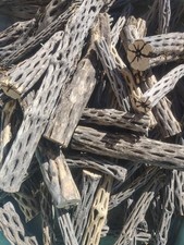 10 Lbs Cholla Wood Pieces  Aquarium  Terrarium  Crafts