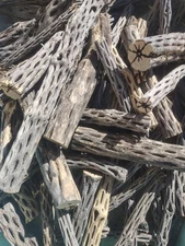 10+ Lbs Cholla Wood Pieces | Aquarium | Terrarium | Crafts